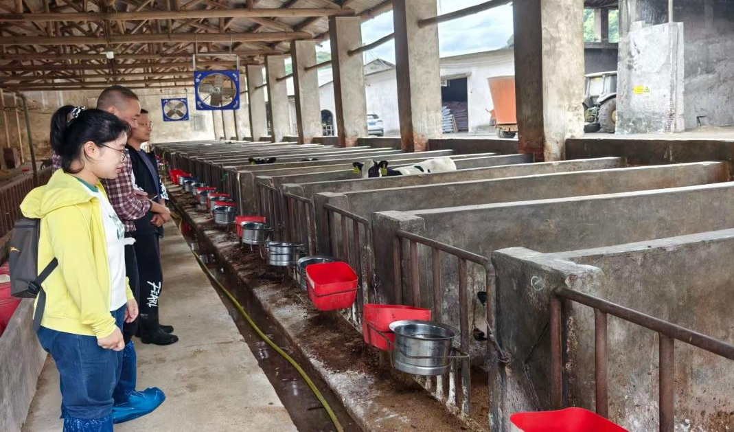 市审计局积极关注畜禽养殖污染防治情况