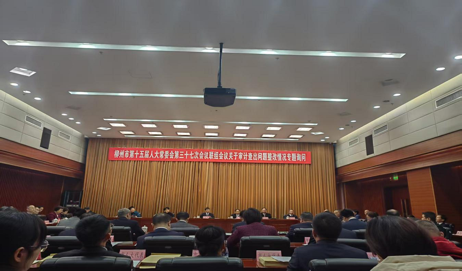 市审计局积极配合市人大开展审计整改专题询问