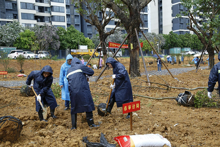 市审计局参加2026年新春植树活动
