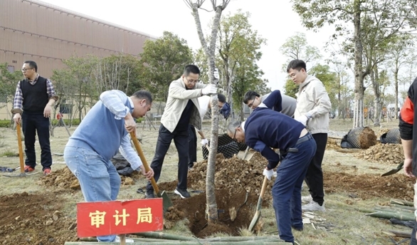 柳州市审计局参加2024年新春义务植树活动